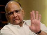 Dawood’s surrender offer was conditional, so rejected: Pawar